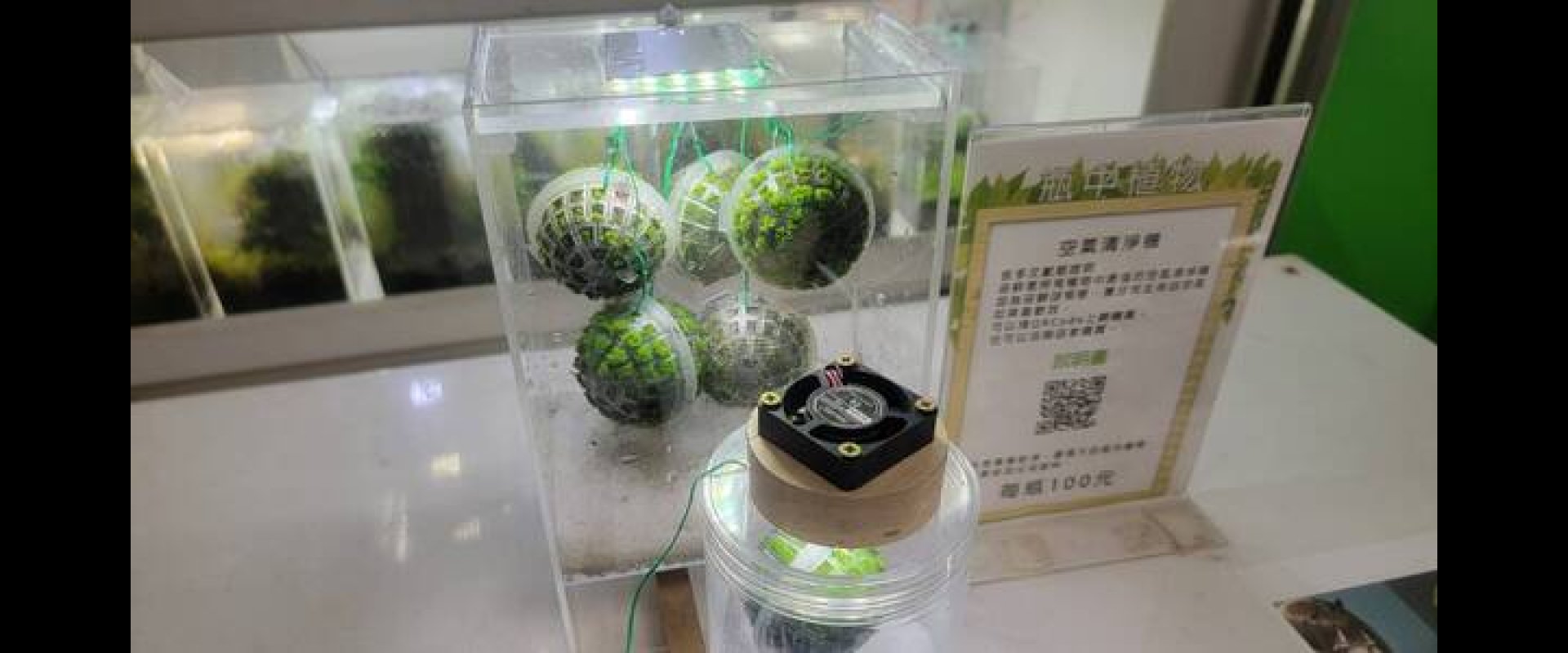 好蘚有我-高雄網頁設計